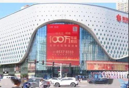 石家庄最新爆料头条,揭秘城市热点事件背后的真相  第2张